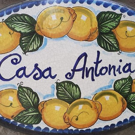 Casa Antonia Lägenhet Anacapri  Exteriör bild